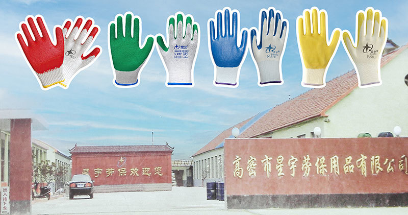 Xingyu at EXPO SEGURIDAD INDUSTRIAL
